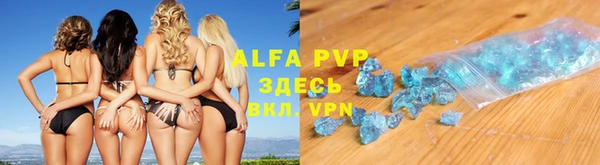 прущие грибы Бородино