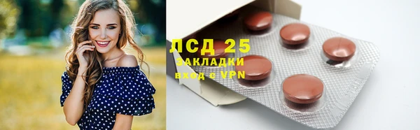 прущие грибы Бородино