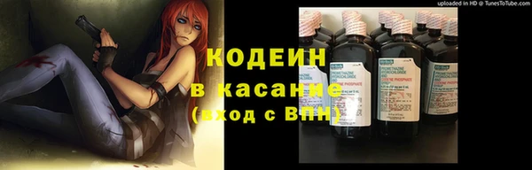 прущие грибы Бородино