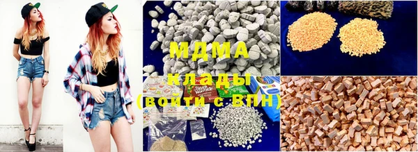 прущие грибы Бородино