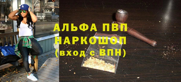 прущие грибы Бородино