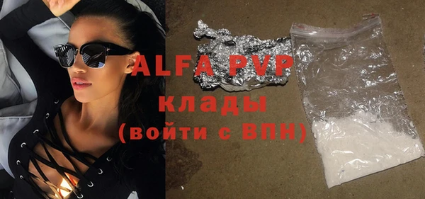 прущие грибы Бородино