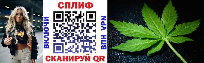 mega как войти  Ачхой-Мартан  Бошки Шишки марихуана  купить наркоту 